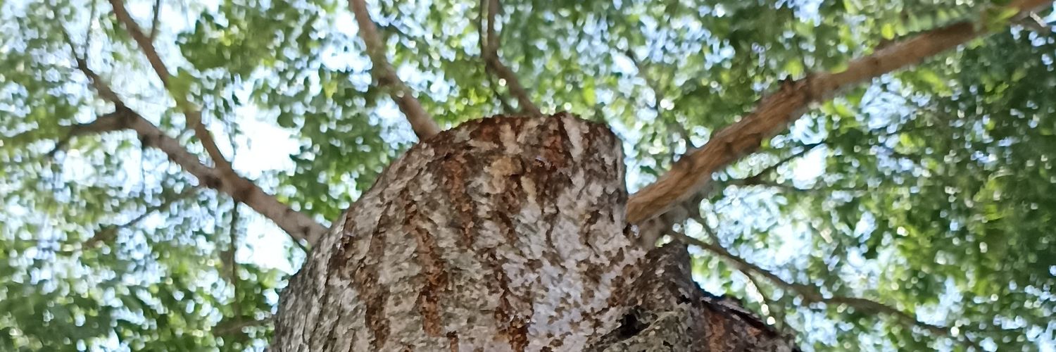 eaacosta99's profile banner image