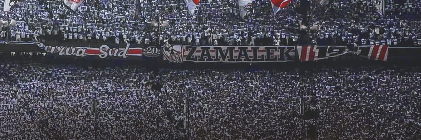 Tahany Elsherbiny banner