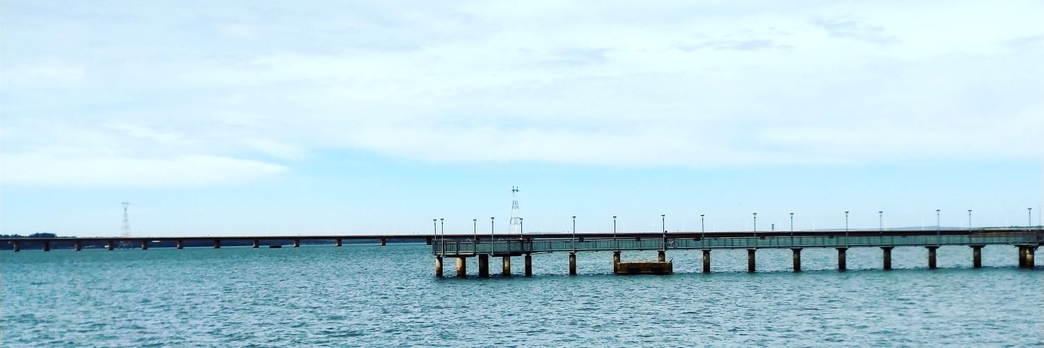 ilPiccoleone's profile banner image