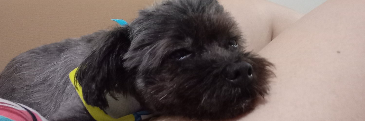 Jackcar07's profile banner image
