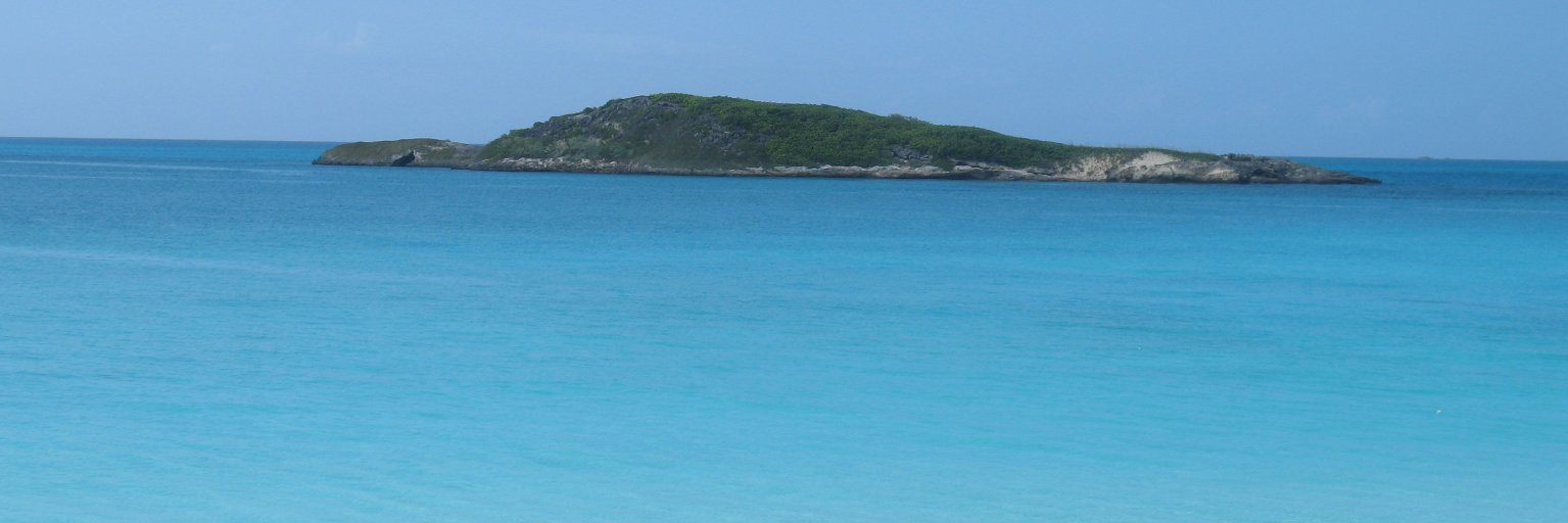 Natural Butterfly 🦋🇯🇲🇨🇦 banner