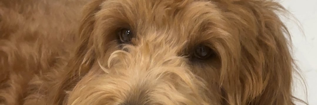 itsdeepdoe's profile banner image