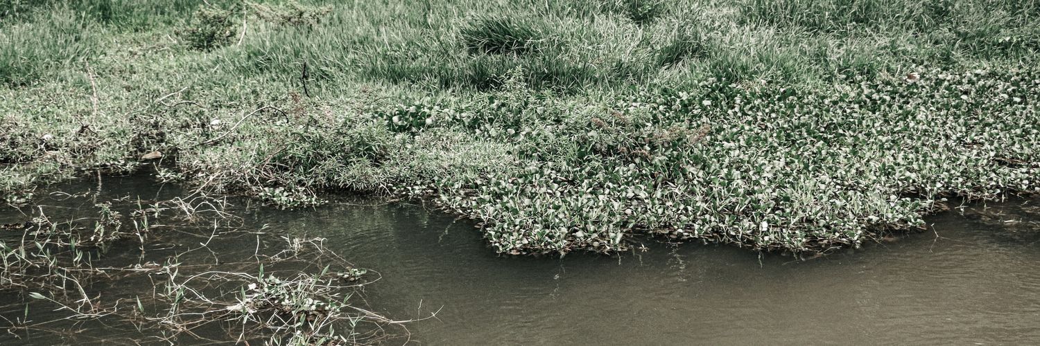 brifu_og's profile banner image