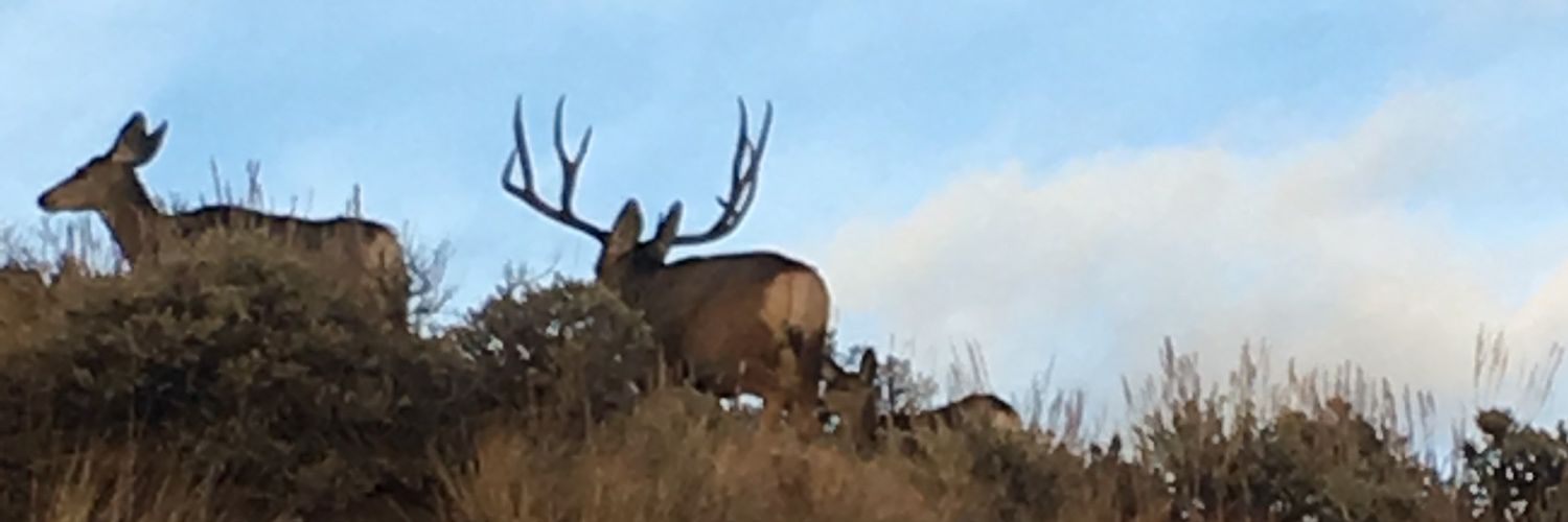 jbp31684's profile banner image