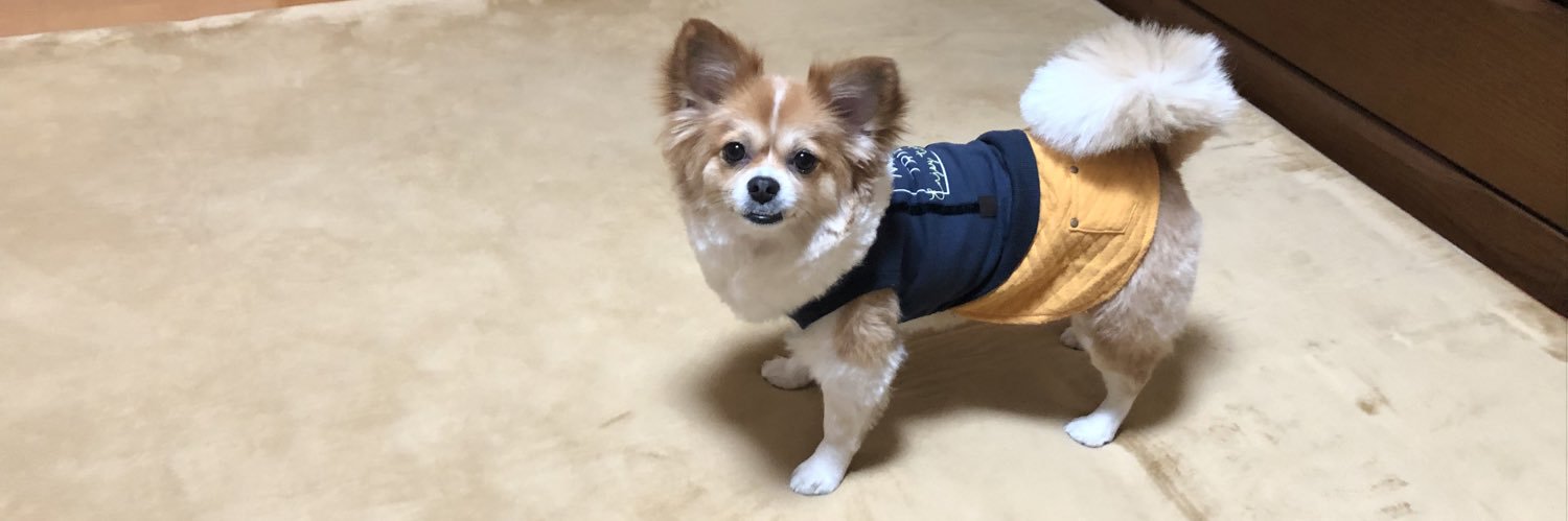 MATTYANKOUTYAN's profile banner image