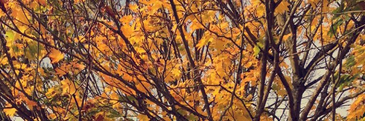 BeckyLooLaa's profile banner image