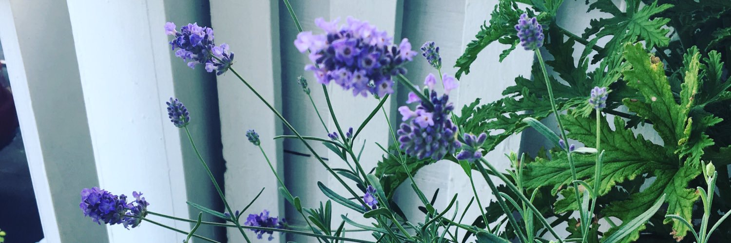 erin_usa's profile banner image