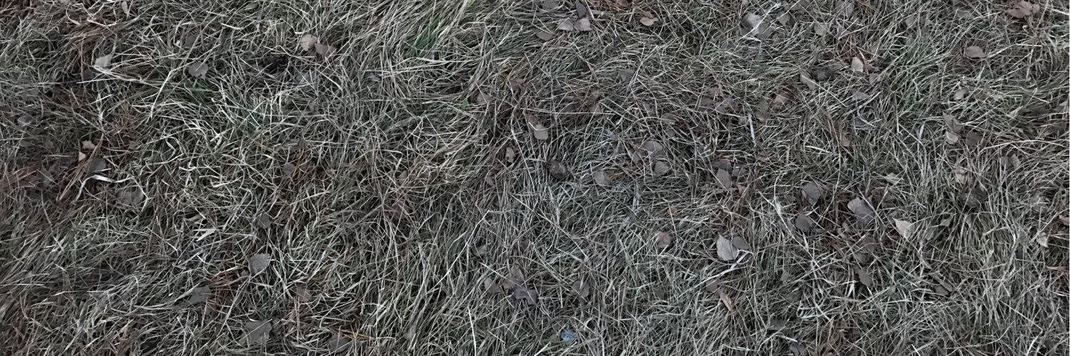 ISargaros's profile banner image