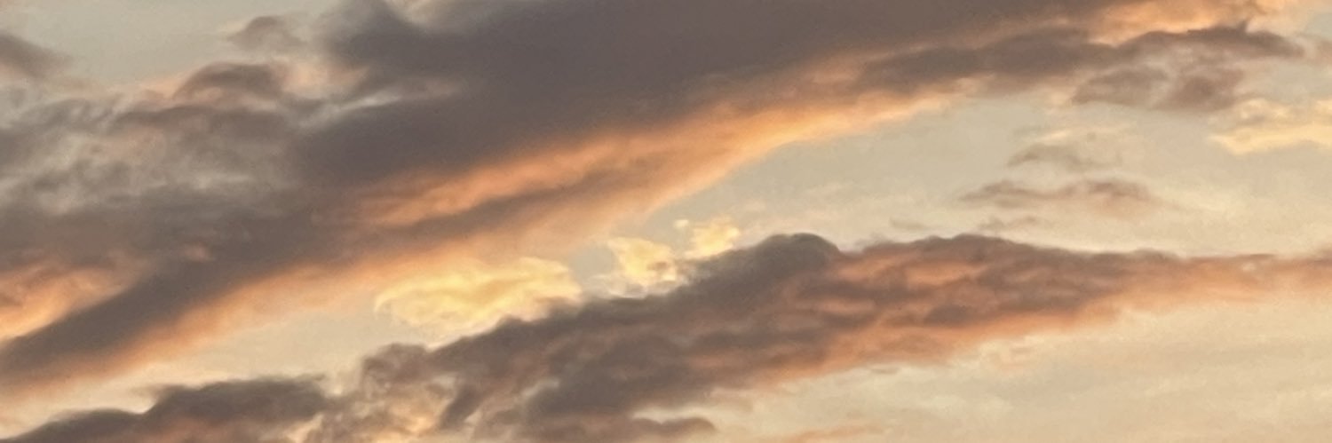 fuhlani's profile banner image