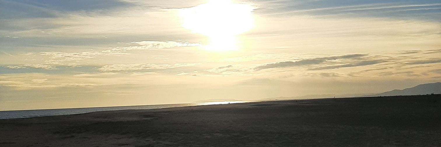 MariaSalvany's profile banner image