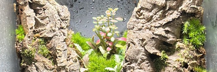 Tabdoraiq's profile banner image