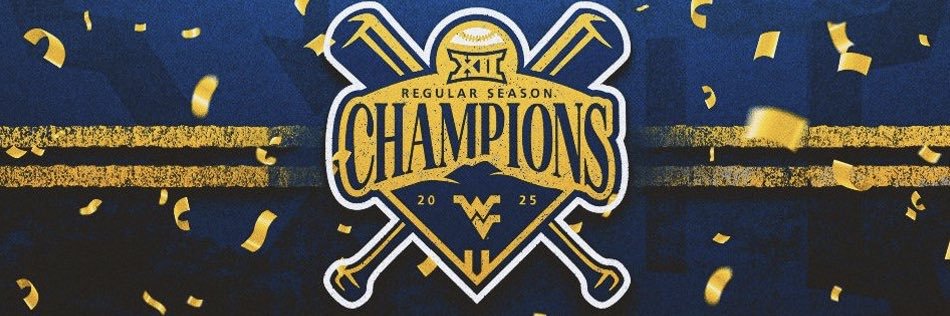 Steve Sabins's banner