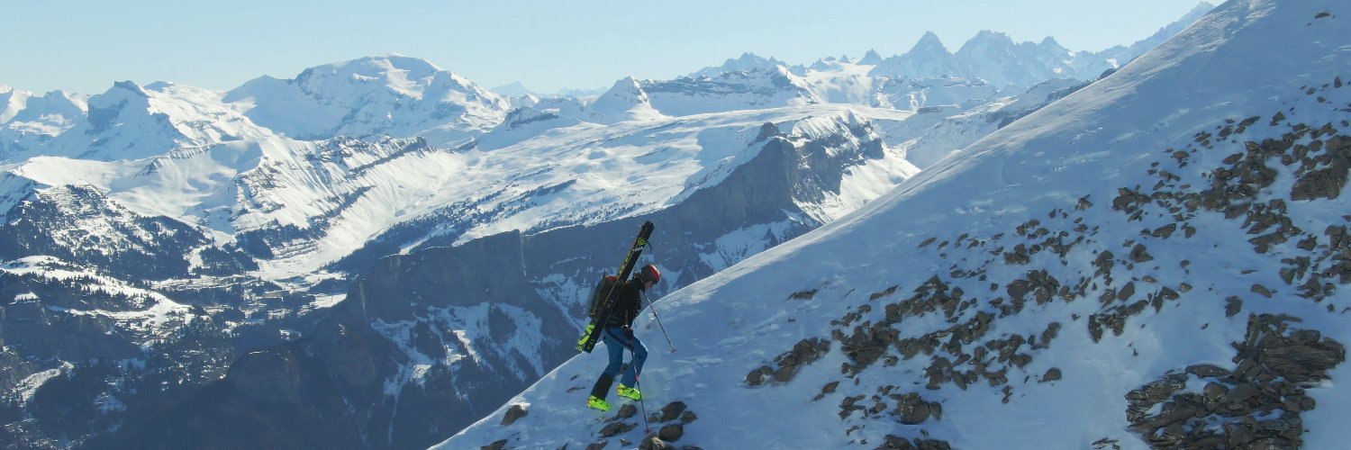 SuperFrenchDoc's profile banner image