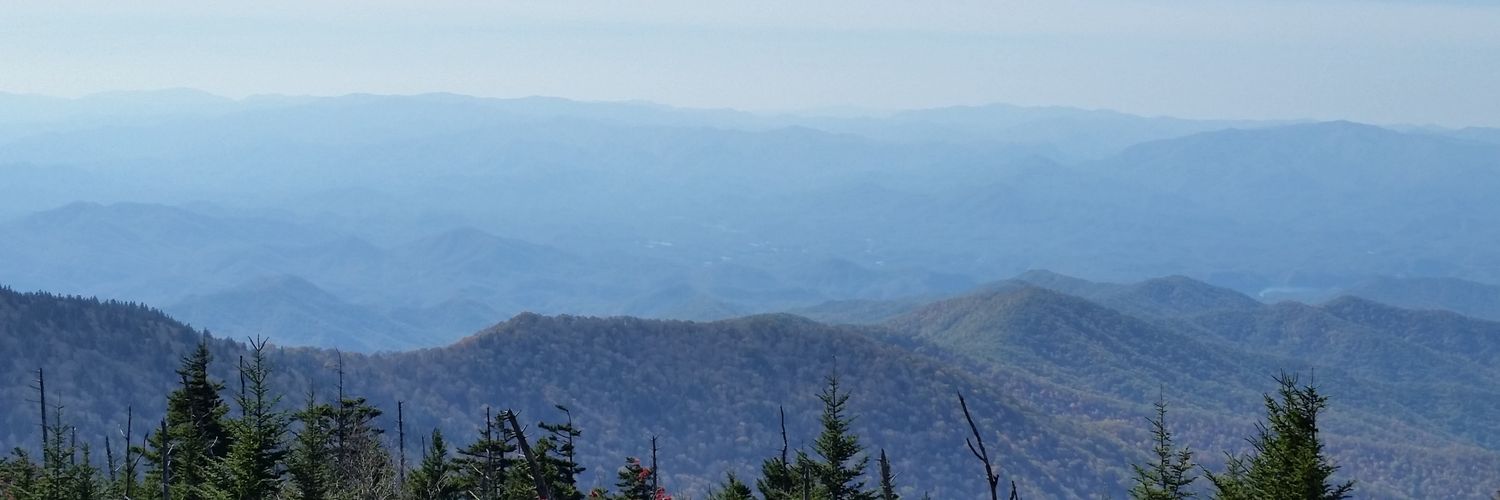mollieb83's profile banner image