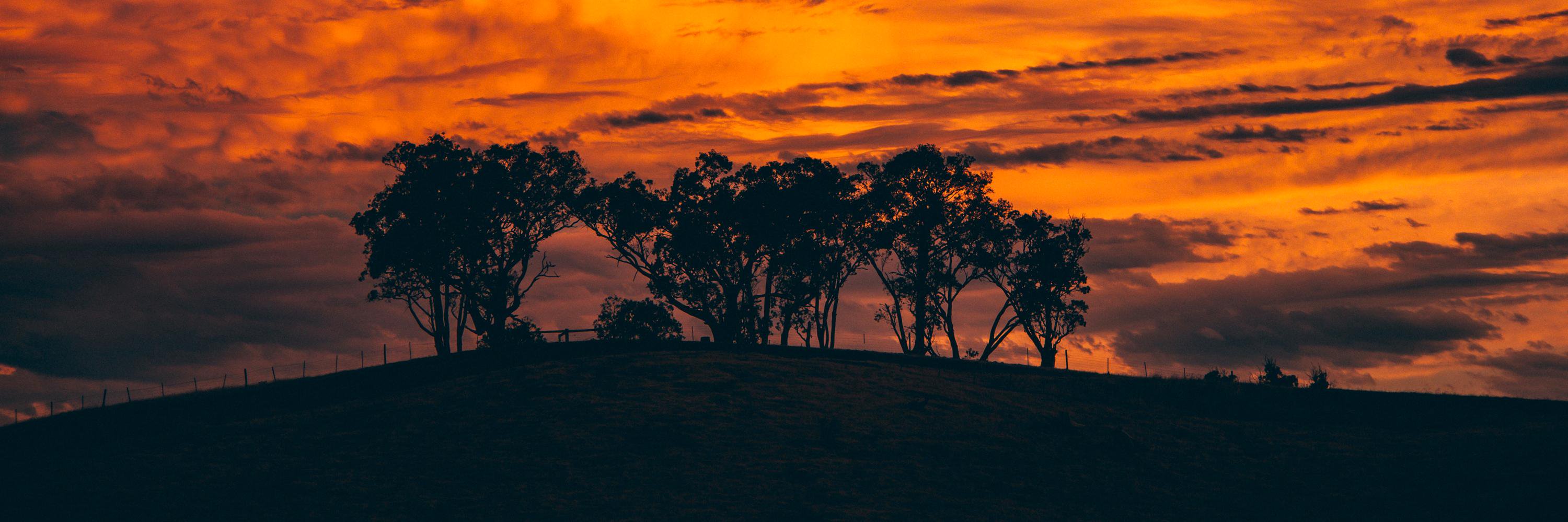 Chris Staring banner