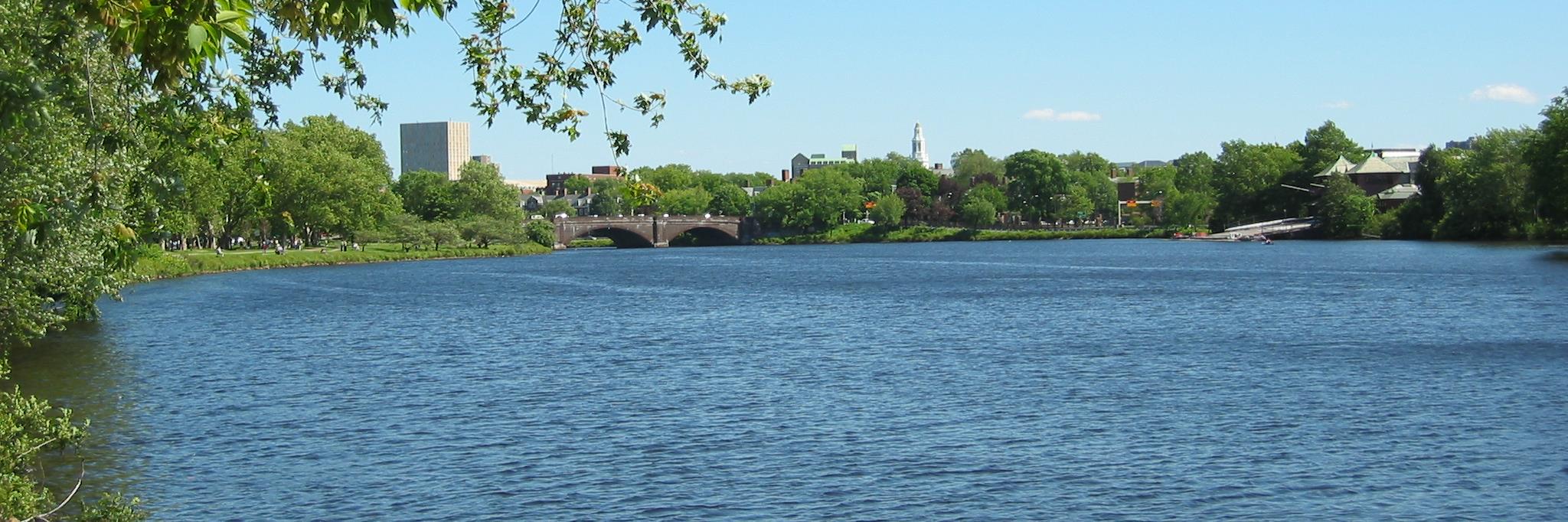 Bob German 🥑 banner