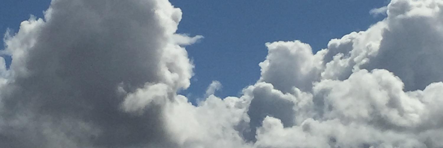 wlongnight's profile banner image
