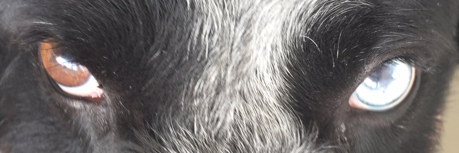 SSesana's profile banner image