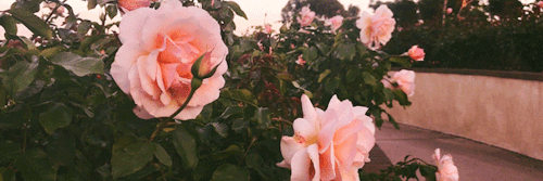 terbeaar8's profile banner image