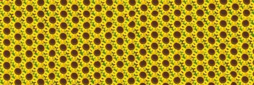 ppp1701's profile banner image