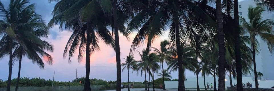 sylviaaaXO_'s profile banner image