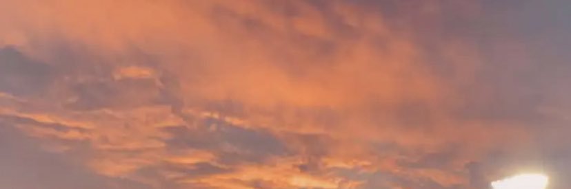 Samantha Dodd banner