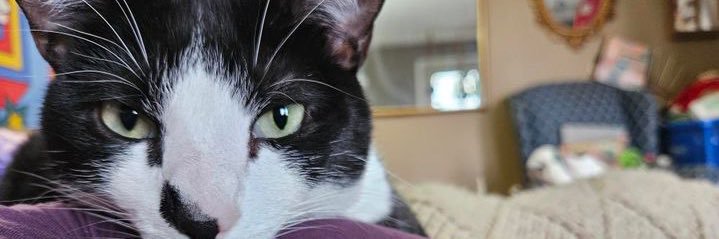 _Katiiebug's profile banner image