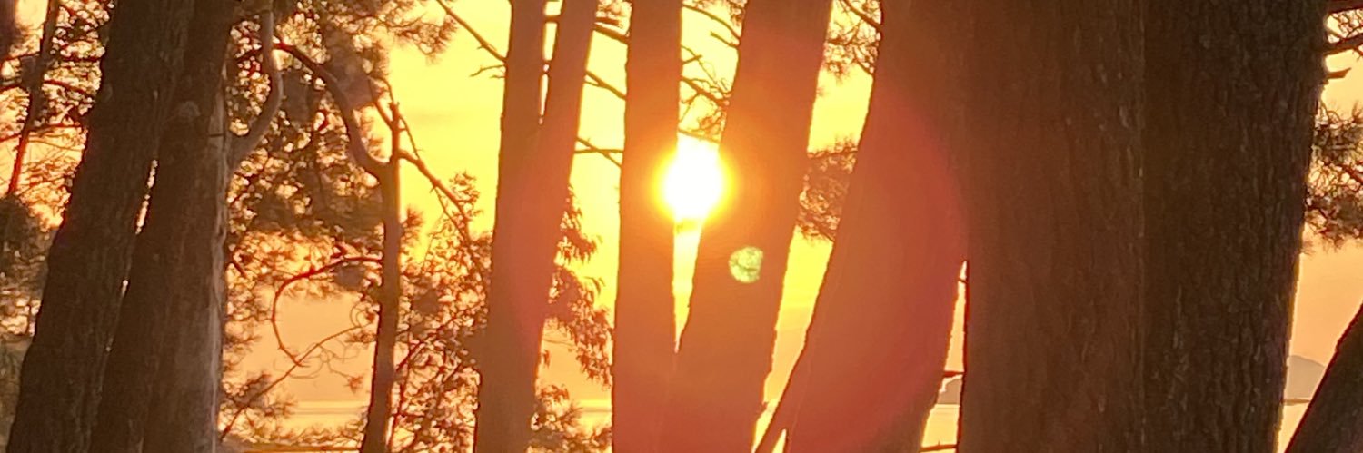 Rochagge's profile banner image