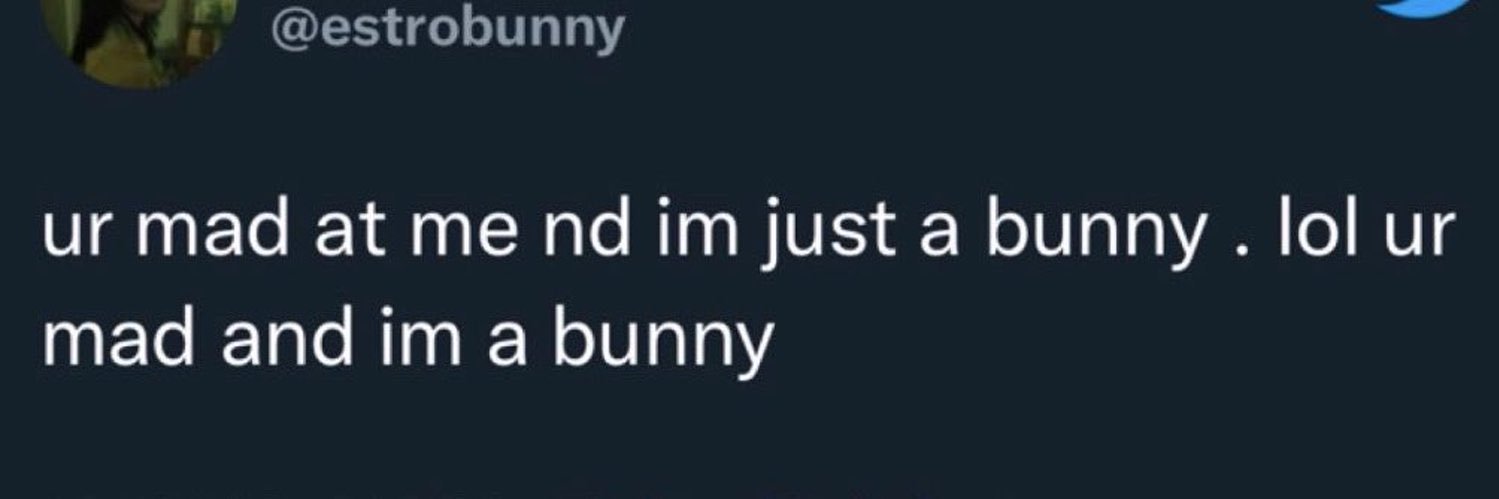 bunny banner