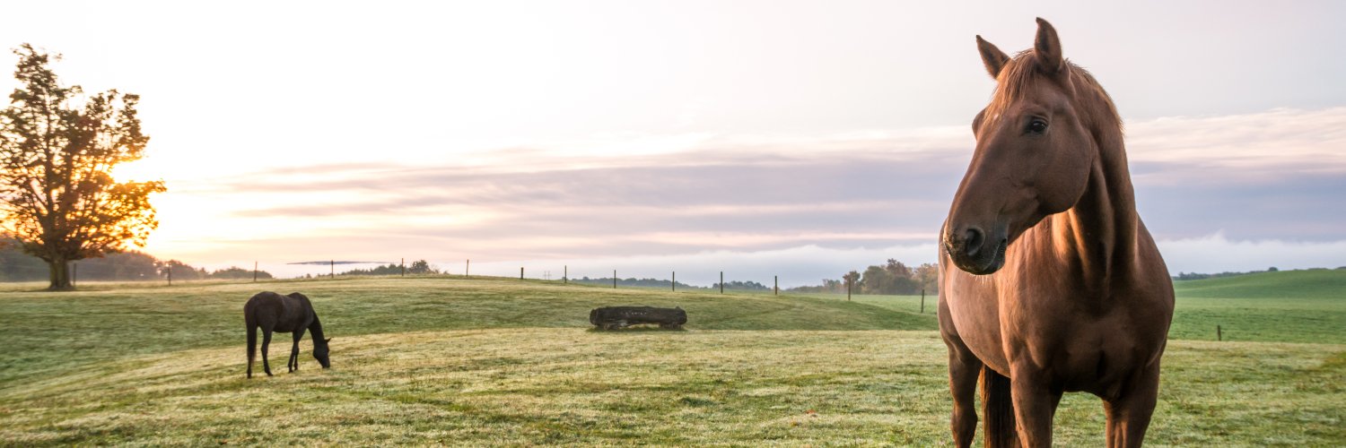 Equestrian Nova Scotia banner