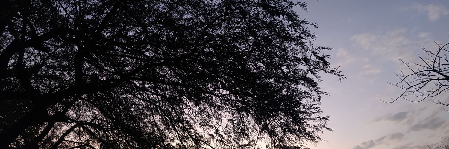 c_mariegut's profile banner image