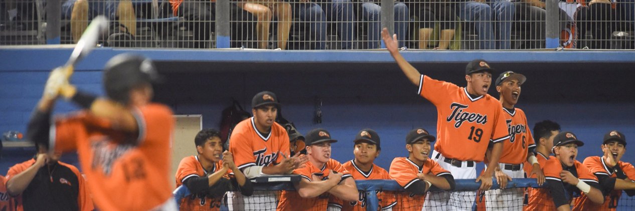 Chaffey Baseball banner