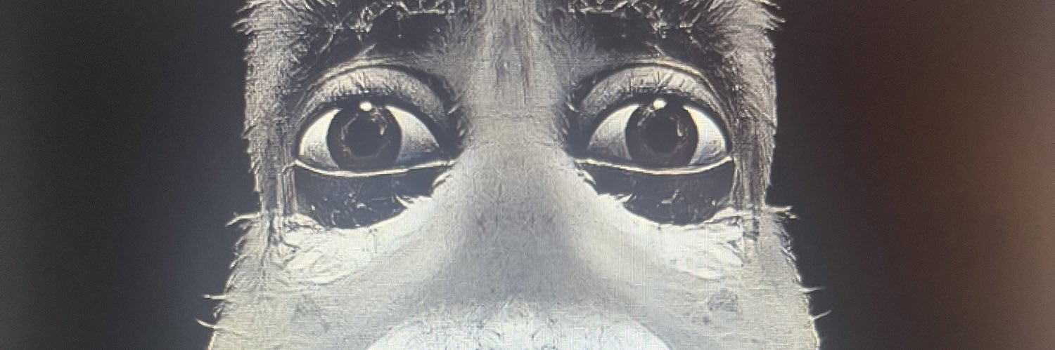 2k15payer101's profile banner image