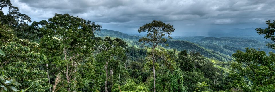 shahriarcaesar's profile banner image