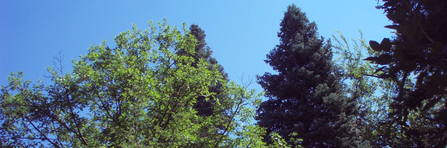 leevemealone7's profile banner image