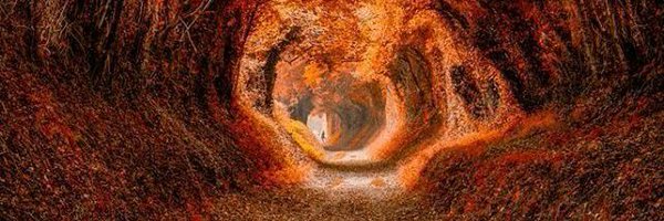 HappyHare90 Profile Banner