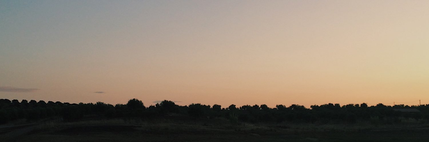 olavoltei's profile banner image