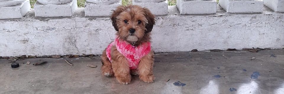 karinitayesquen's profile banner image