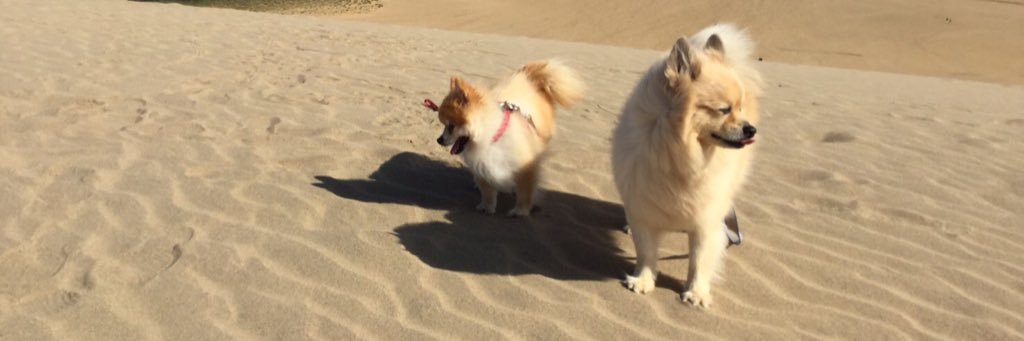 キタジン@kind banner