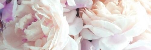KristinaPorada's profile banner image