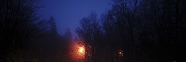 snugglingcth's profile banner image