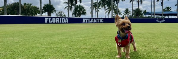 CoachPetikS Profile Banner