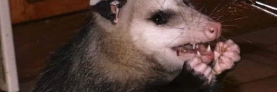_itwillbeloud's profile banner image