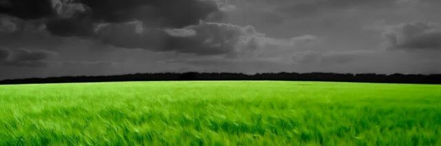 kittykaty3106's profile banner image