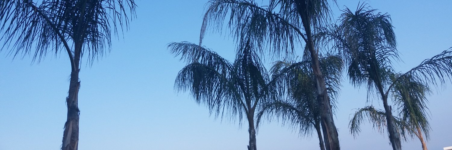 sedanazdrl's profile banner image