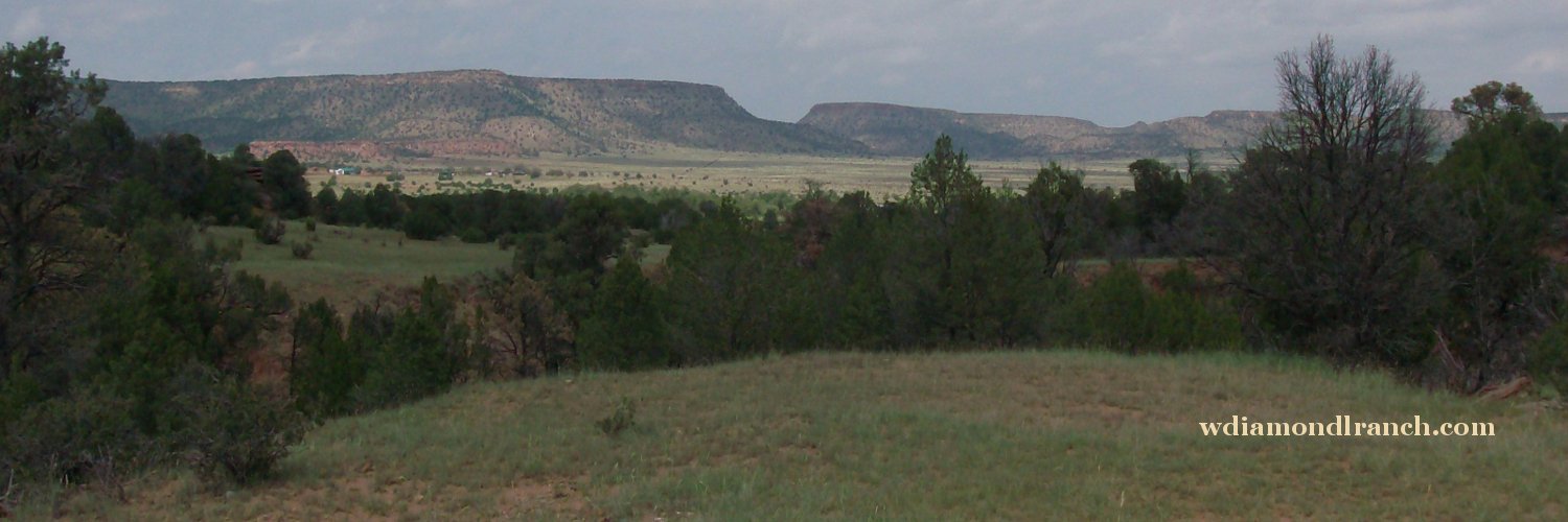 WDiamondLRanch's profile banner image
