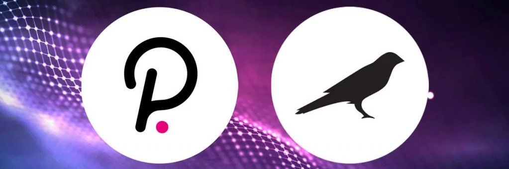 calebwwk's profile banner image