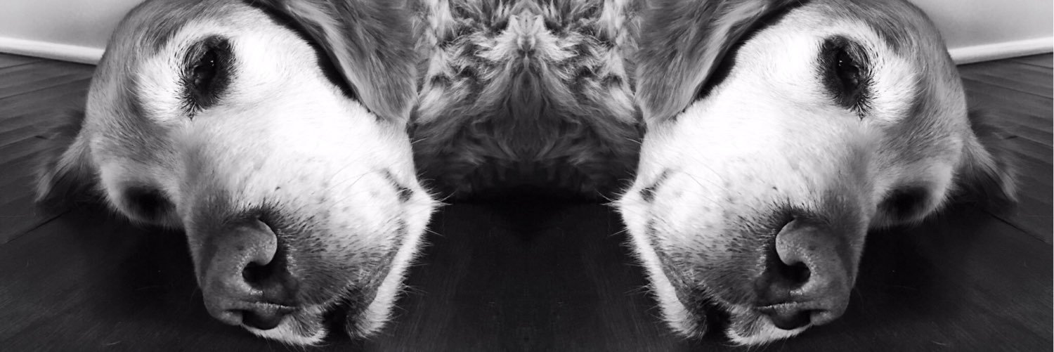 BraswellAmy's profile banner image