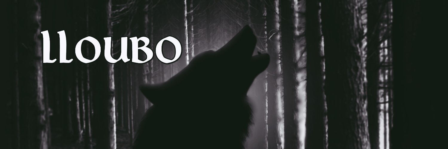 lloubo29's profile banner image