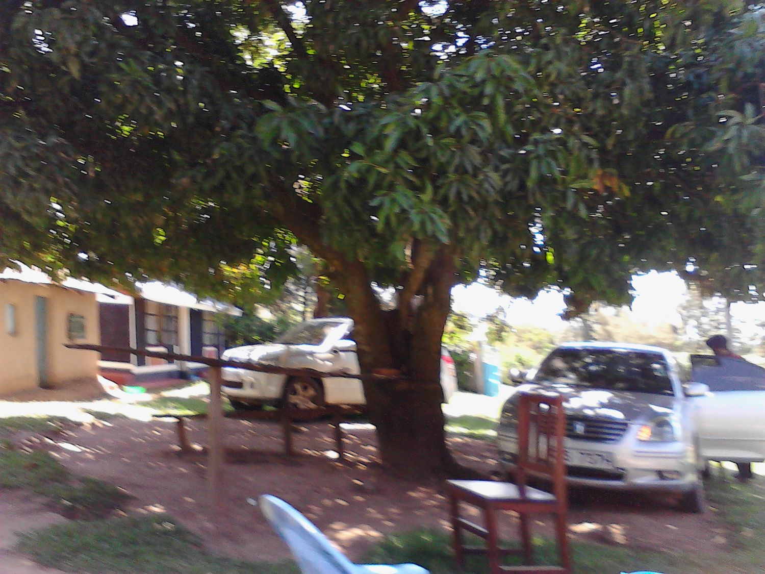 DOtieni's profile banner image